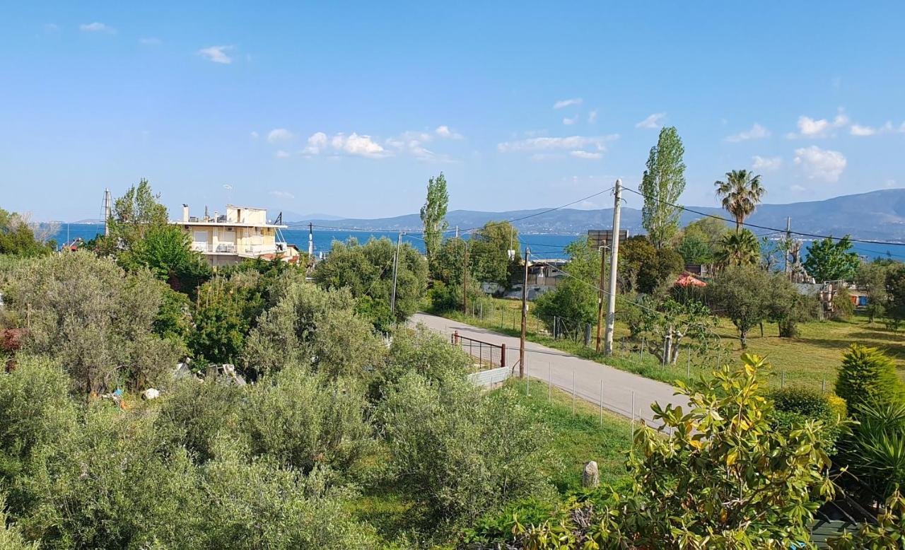 Vacation And Relaxation Home Oropos Nea Palatia Exterior foto
