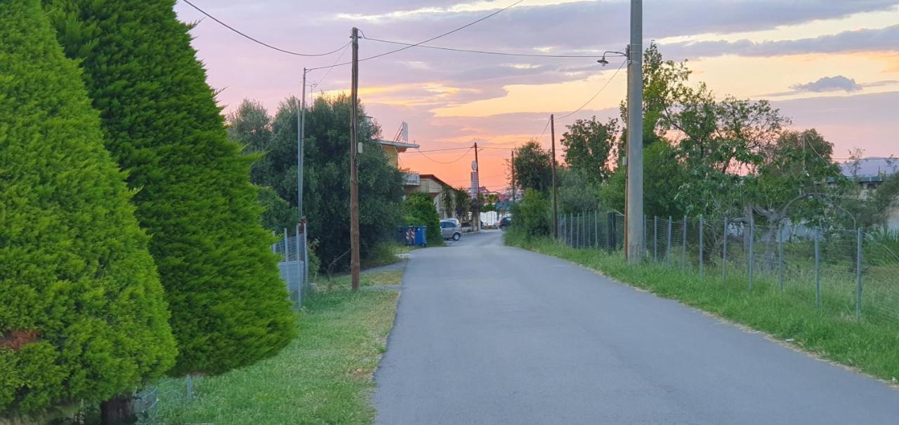 Vacation And Relaxation Home Oropos Nea Palatia Exterior foto
